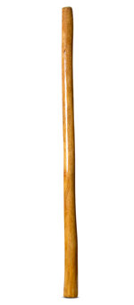 Gloss Finish Didgeridoo (TW1161)